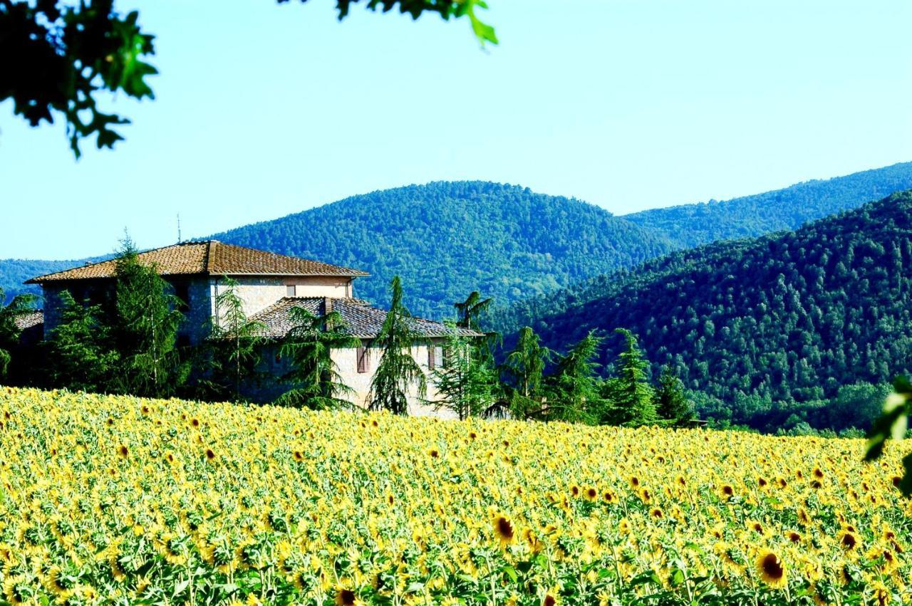 Agriturismo Montioni Sovicille Exteriér fotografie